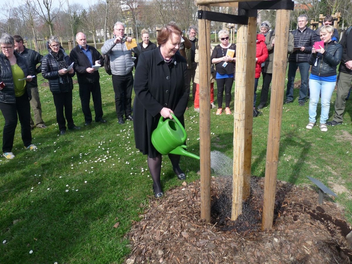 EvangelischLutherische Kirche Islands Luthergarten